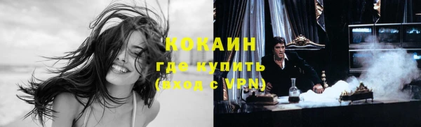 мяу мяу кристалл Няндома
