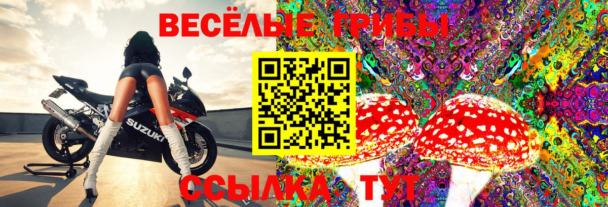 Галлюциногенные грибы Cubensis  Вход с VPN  Холмск 